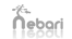 Desarrollado por Nebari Design